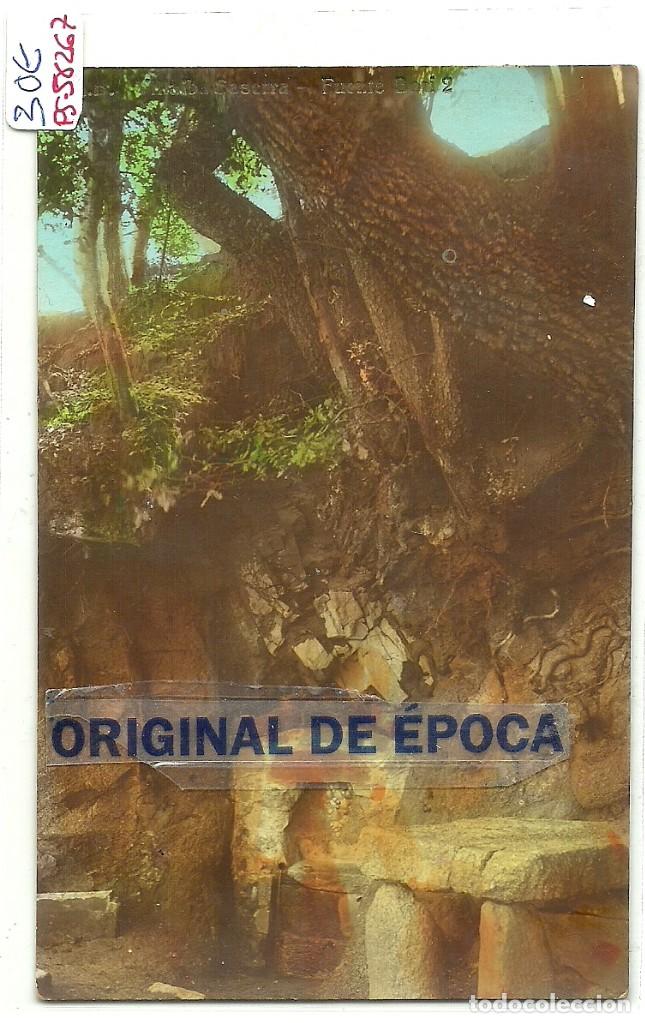Postkarten: (PS-58267)POSTAL FOTOGRAFICA DE VILLALBA SASERRA-FUENTE BORI.J.B.