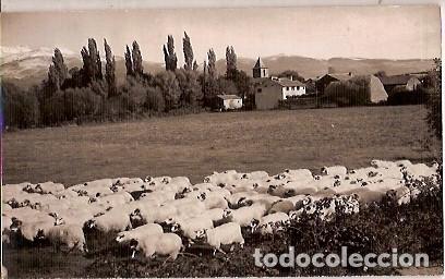 Cartes Postales: ANTIGUA POSTAL 5 ALP DE CERDA&Ntilde;A ESCRITA 1955 CUYAS