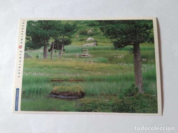 Postales: ANTIGUA POSTAL LA VANGUARDIA CATALUNYA UNIVERSAL A&Ntilde;OS 90: AIG&Uuml;ESTORTES SANT MAURICI (10'2 X 14'8 CM)