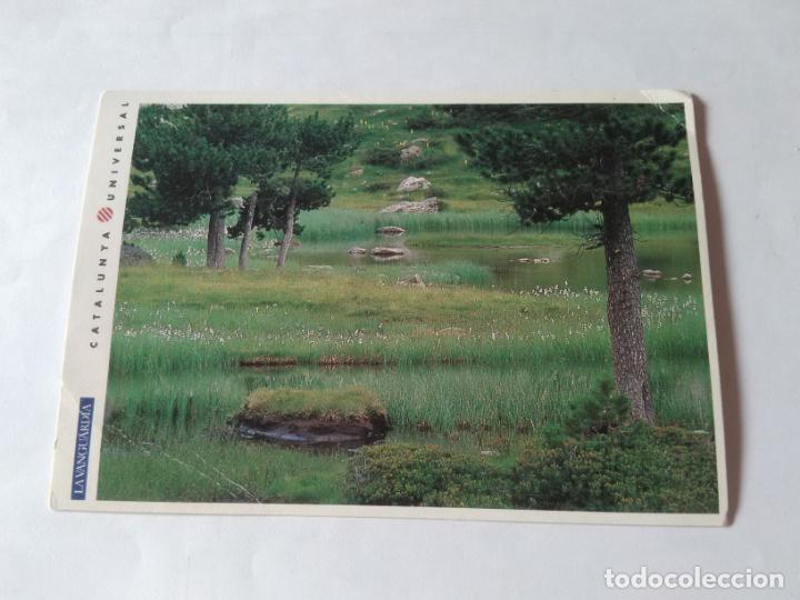 Postales: ANTIGUA POSTAL LA VANGUARDIA CATALUNYA UNIVERSAL A&Ntilde;OS 90: AIG&Uuml;ESTORTES SANT MAURICI (10'2 X 14'8 CM)