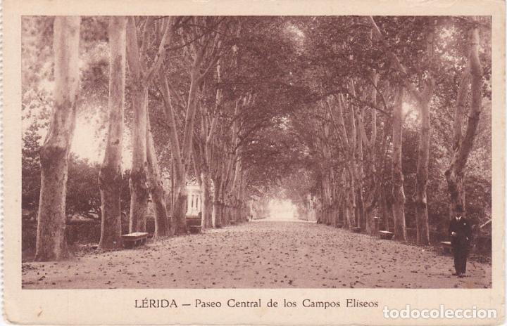 Postales: lerida, paseo central de los campos eliseos