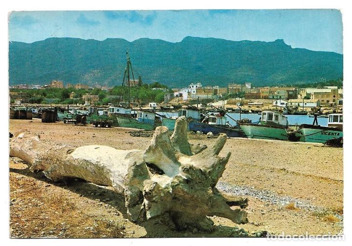Postales: SAN CARLOS DE LA RAPITA N&ordm; 1101 VISTA PARCIAL PUERTO Y CIUDAD / F. CASTELL ARASA 1966 / FRANQUEADA