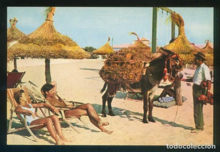 Postales: *Costa Brava. Detalle* Ed. C. Rivas n&ordm; 1028. Dep. Legal B. 3375-1962. Nueva.