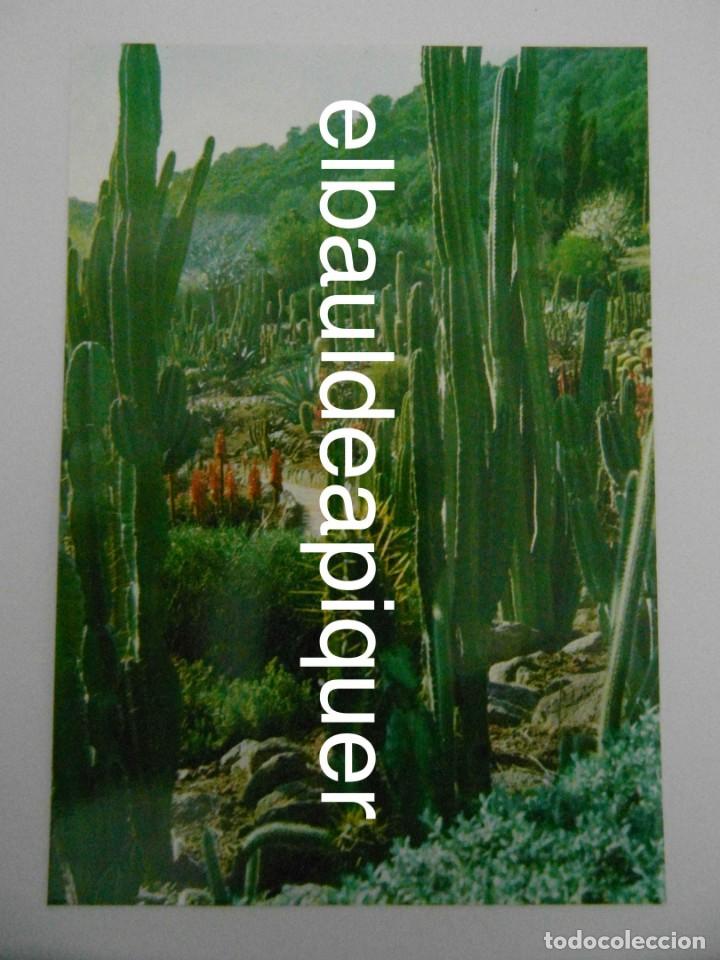 Postales: 5 postales de Blanes. Costa Brava. Sin circular - Foto 5