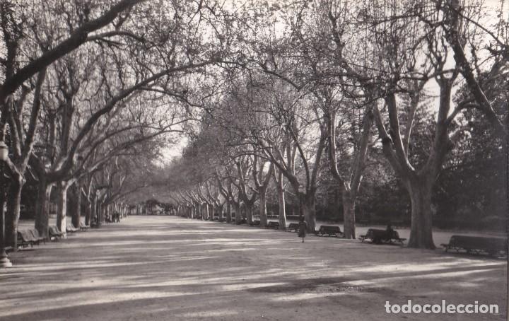 Postcards: POSTAL N&ordm; 8 TORTOSA - PARQUE MUNICIPAL .