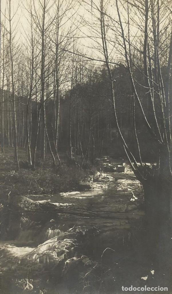 Postales: Catalunya Catalu&ntilde;a. R&iacute;o Segre. Buen estado. Sin circular. 9x14 cm. Tarjeta postal. 3739.