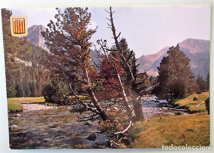 Postales: Vall de boh&iacute;. 2320 Aig&uuml;es Tortes. Escudo de Oro. Nueva. Color