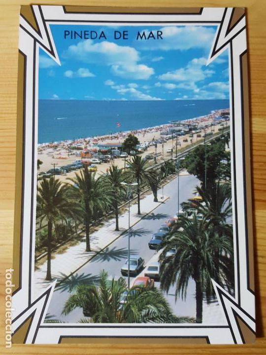 Postales: Pineda de Mar Ed. A. Calella - Foto 1