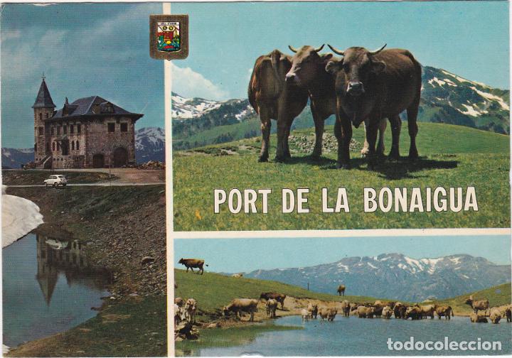 Postales: pirineu catala, bonics paisatges del port de la bonaigua, lerida
