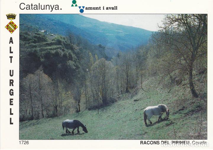 Postales: alt urgell, catalunya amunt i avall, cavalls, lerida
