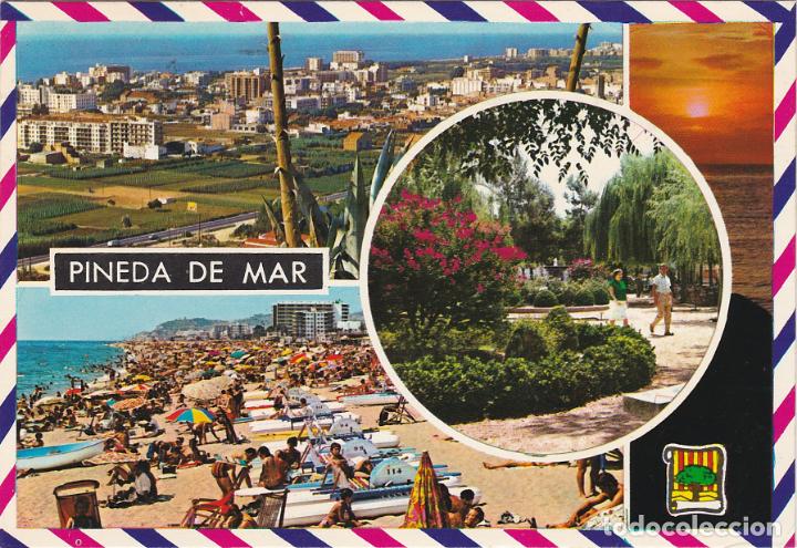 Postales: pineda de mar, barcelona - Foto 1