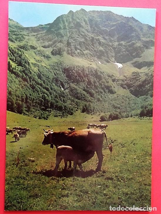 Postales: Artiga de Lin. 1559 Valle de Ar&aacute;n. CYP. Usada. Color