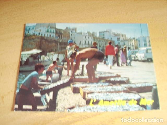 Postales: L AMETLLA DE MAR -TARRAGONA- PESCA RECIEN LLEGADA