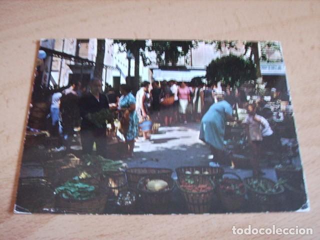 Postales: MALGRAT DE MAR -BARCELONA- MERCADO TIPICO - Foto 1
