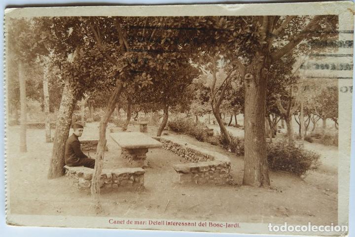 Postales: CANET DE MAR - Foto 1