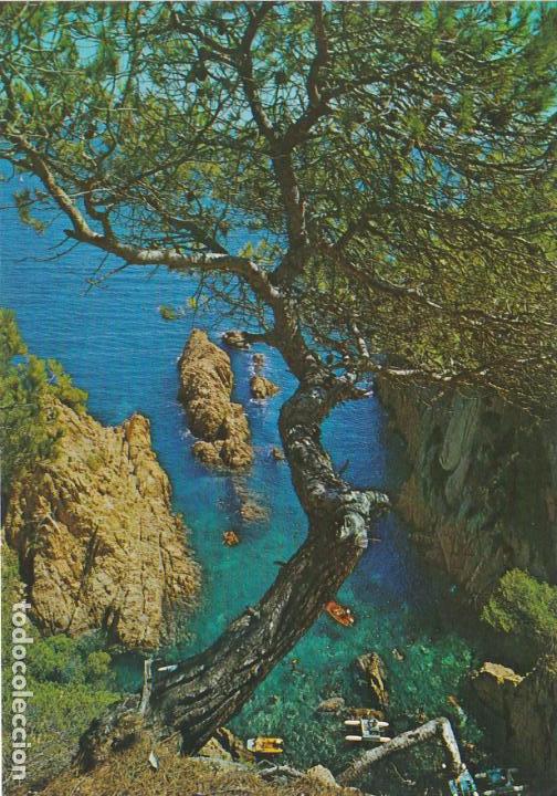 Postales: costa brava, cala, gerona - Foto 1