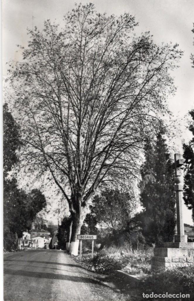 Postales: dosrius - Foto 1
