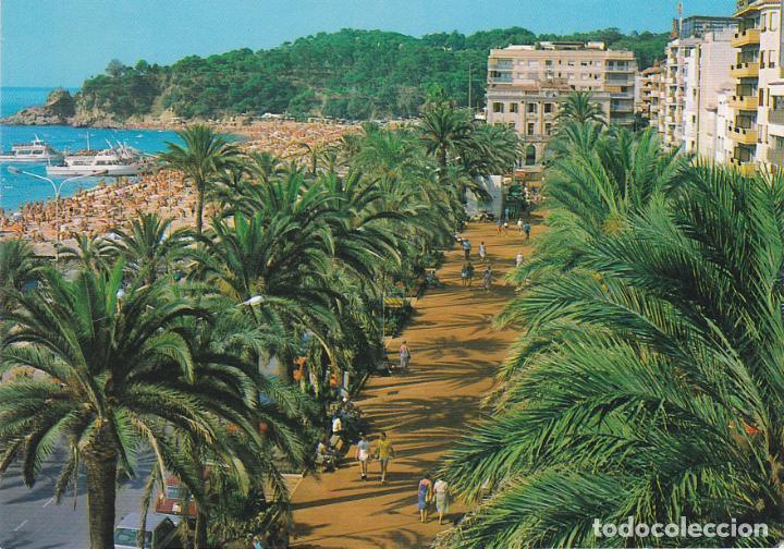 Postales: costa brava, lloret de mar, paseo maritimo, gerona - Foto 1