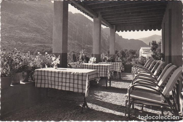 Postales: valle de cardos, un detalle de ribera de cardos, lerida
