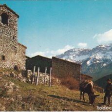 Cartes Postales: CAVA, PAISATGE TIPIC, AL FONS SERRA DEL CADI, LERIDA. Lote 159117154