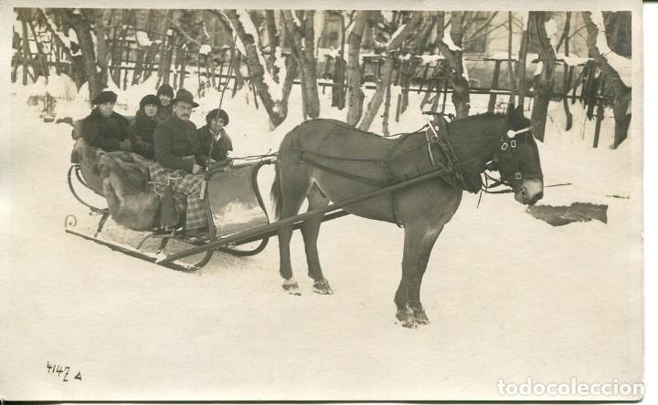 Postales: VALLE DE ARAN -TRINEO CON CABALLO-FOTOGR&Aacute;FICA- RARA