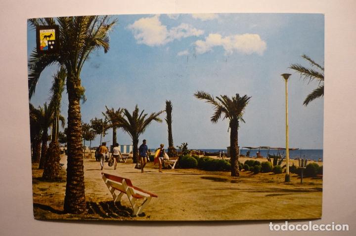 Postales: postal calella .-paseo circulada - Foto 1