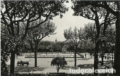 Cartoline: ANTIGUA POSTAL MATARO PARQUE PISTA PATINAJE