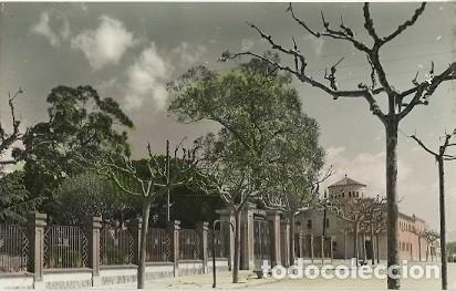 Postais: ANTIGUA POSTAL MATARO ENTRADA PARQUE