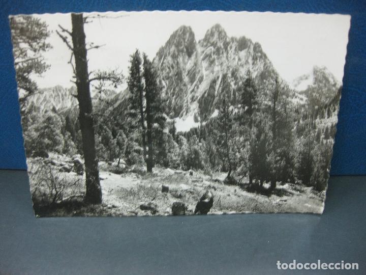 Postales: POSTAL 135.- VALLE DE ESPOT (LERIDA) ALREDEDORES DE SAN MAURICIO.