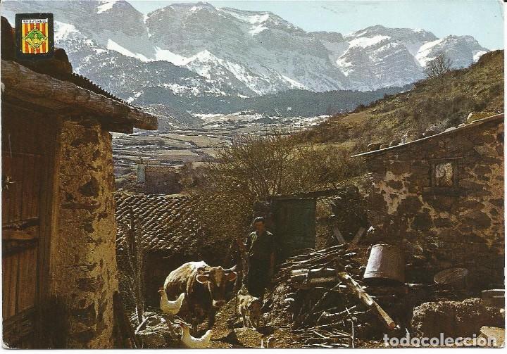 Postales: [POSTAL] Vista parcial. Quer-Foradat. Al fondo, Serra del Cad&iacute; (Lleida) (sin circular)
