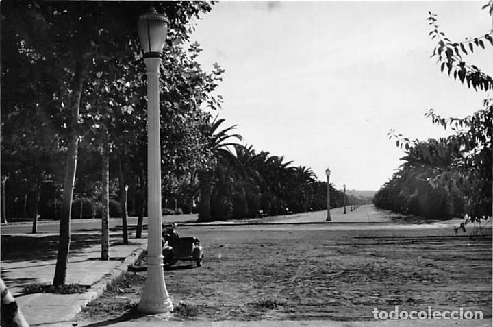 Postales: SALOU.- PASEO CONQUISTADOR
