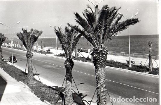 Postales: BARCELONA *** PASEO MARITIMO - Foto 1