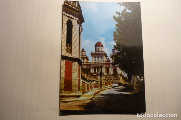 Postales: postal arbos -tarragona paseo panchita