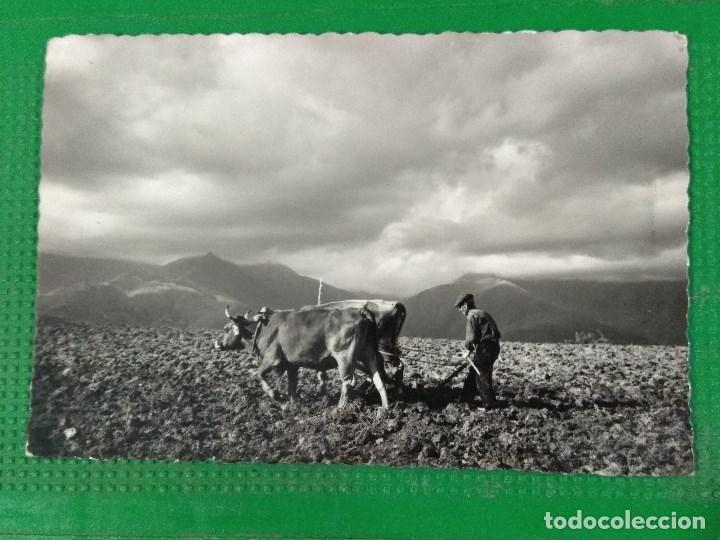 Postales: POSTAL 241 PALLARS (LERIDA) ARANDO EN LA CREU DEL PERBES