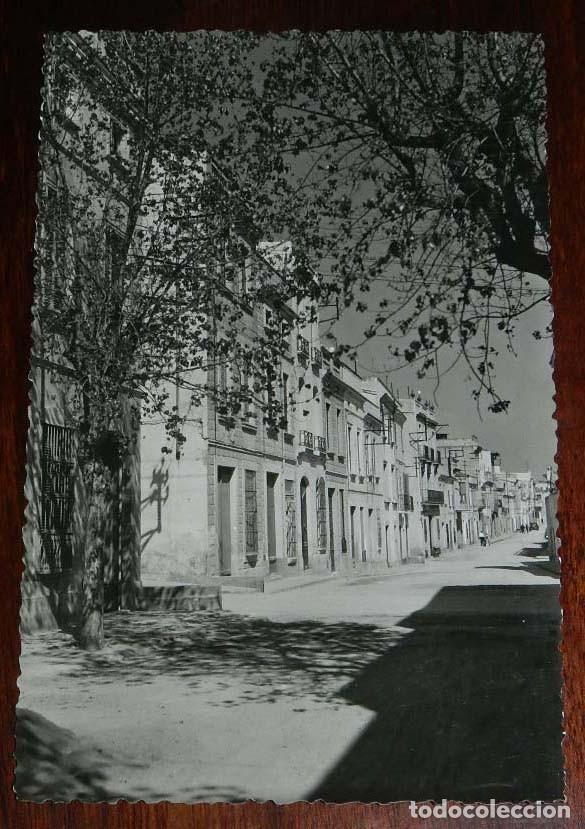 Cartoline: POSTAL FOTOGRAFICA DE MASNOU, CALLE DE SAN FELIPE, FOTO TERESA TORRES, NO CIRCULADA.