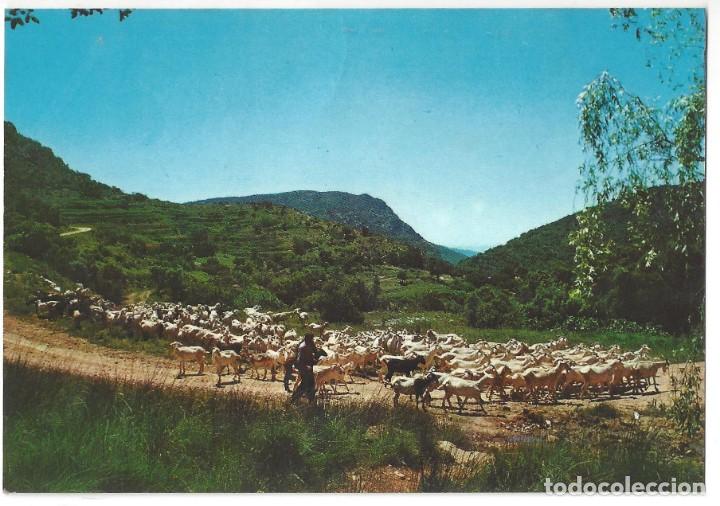 Postales: VILANOVA DE MEI&Agrave;.- N&ordm; 18, PAISATGE. PAISAJE. EXCLUSIVA BATALLA. L&Eacute;RIDA- SIN CIRCULAR