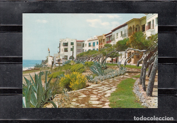 Postales: RODA DE BARA.- 12 PUEBLO PESCADOR. ROC SAN CAYETANO