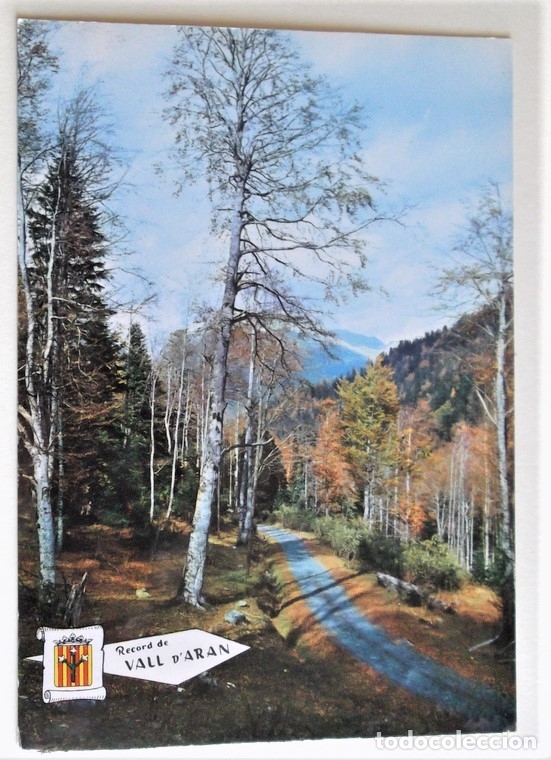 Postales: Artiga de Lin (Vall d'Ar&aacute;n). Paisaje. Ed. Pergamino. Nueva. Color