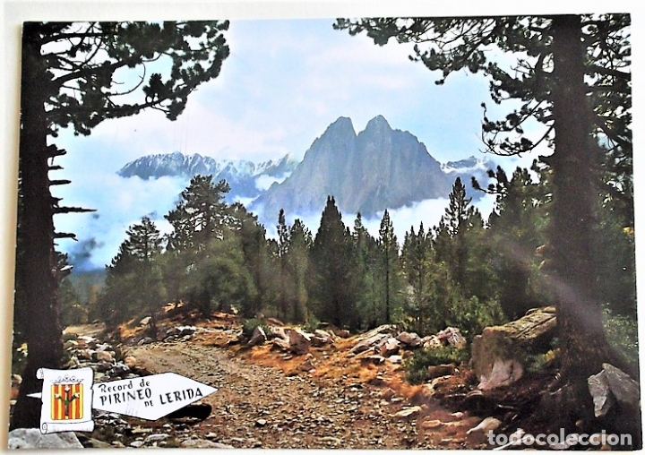 Postales: Pirineo de L&eacute;rida. 553 Paisaje Els Encantats. Ed. Pergamino. Nueva. Color