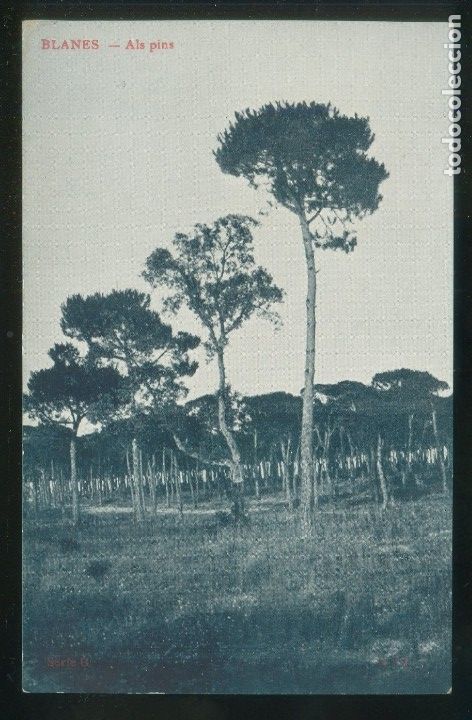 Postales: Blanes. *Als pins* Sin datos. Nueva - Foto 1