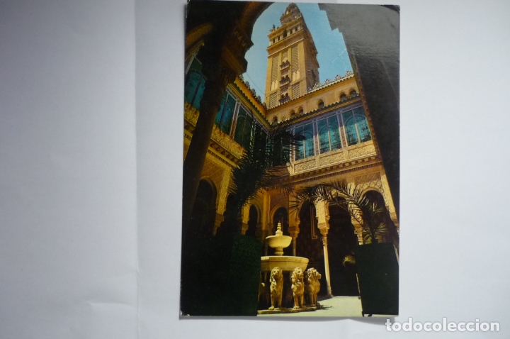 Postales: POSTAL ARBOS - PATIO LEONES - Foto 1