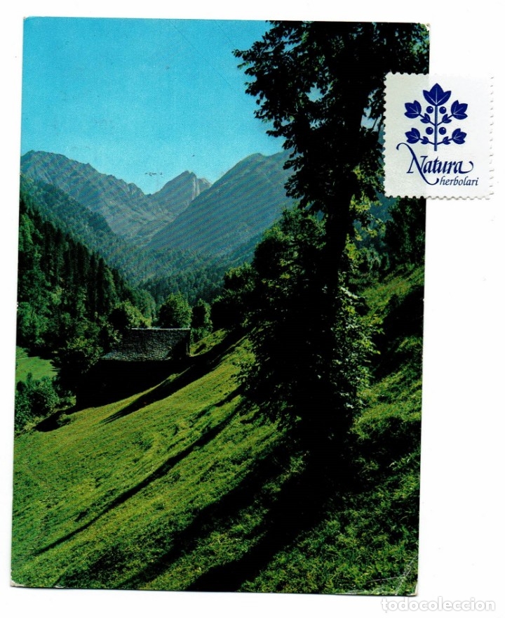 Postales: Artiga de Lin / Valle Ar&aacute;n / 1558 / Postal escrita con sello