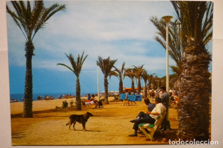 Postales: POSTAL CALELLA - PASEO MANUEL PUIGVERT - Foto 1