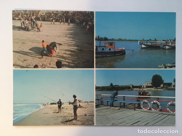 Postales: Deltebre La Cava - postal - Foto 1