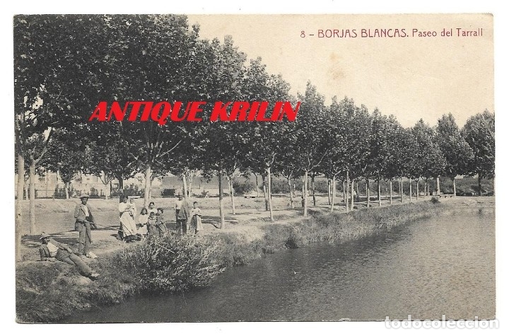 Postales: BORJAS BLANCAS N&ordm; 8 PASEO DEL TARRALL / FOTOTIPIA THOMAS / SIN FRANQUEAR