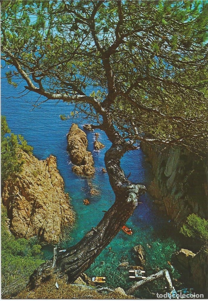 Postales: [POSTAL] Cala indeterminada. Costa Brava (Girona) (sin circular) - Foto 1