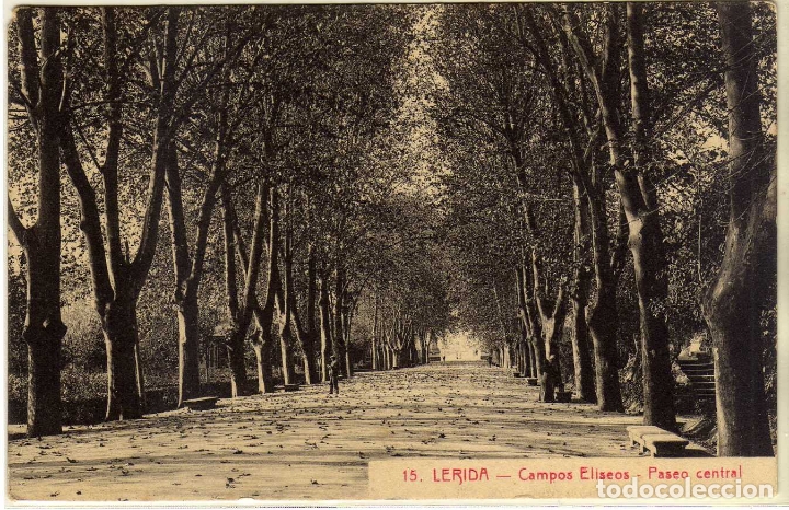 Postales: POSTAL LERIDA - CAMPOS ELISEOS - PASEO CENTRAL