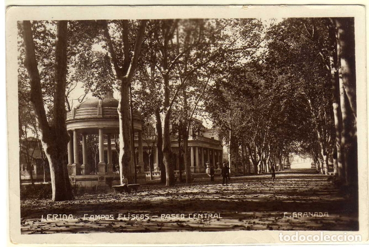 Postales: POSTAL LERIDA - CAMPOS ELISEOS - PASEO CENTRAL