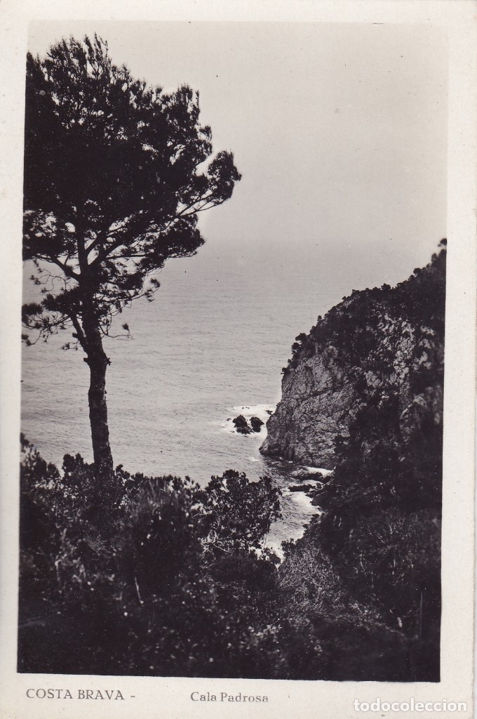 Postales: Costa Brava cala Padrosa (sin circular)
