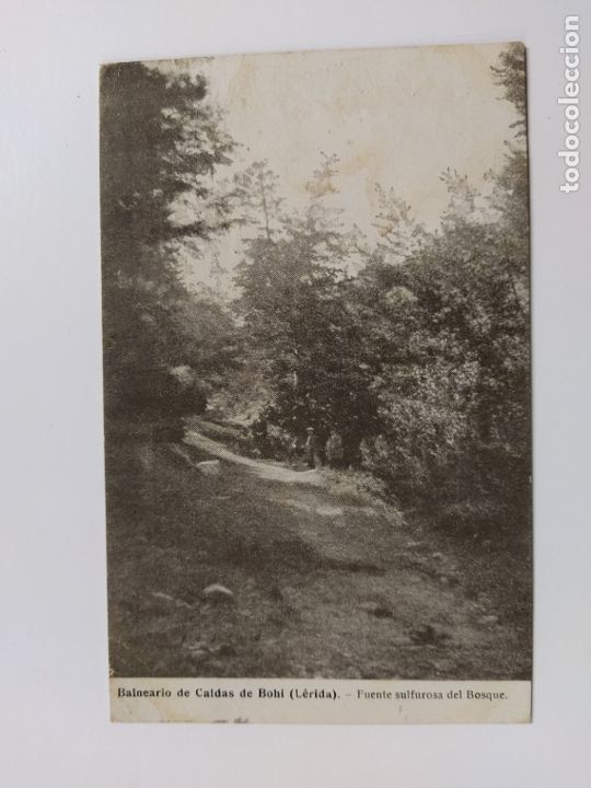 Postales: BALNEARIO DE CALDAS DE BOHI-FUENTE SULFOROSA DEL BOSQUE-VER FOTOS-(62.773)